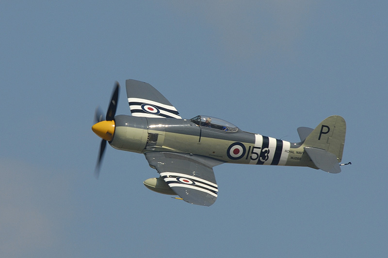 Sea Fury C.jpg
