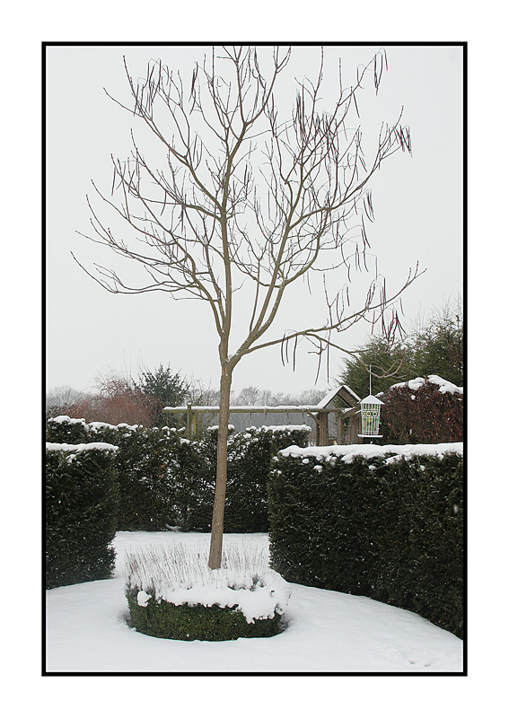 14 januari 2010