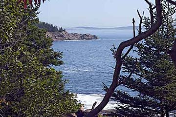 Acadia Shoreline.jpg