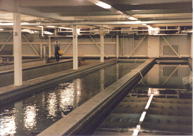 Basement raceways.jpg