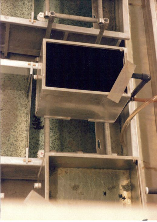Left Kitoi box with saddles, note perf plate on right box.jpg