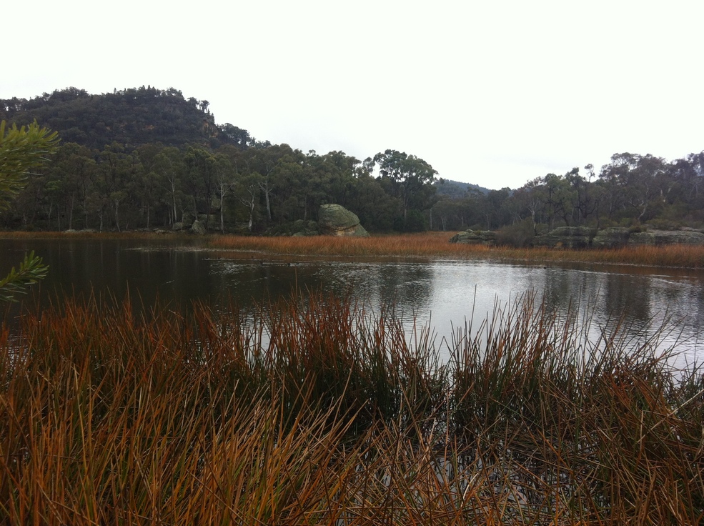 Wollemi National Park