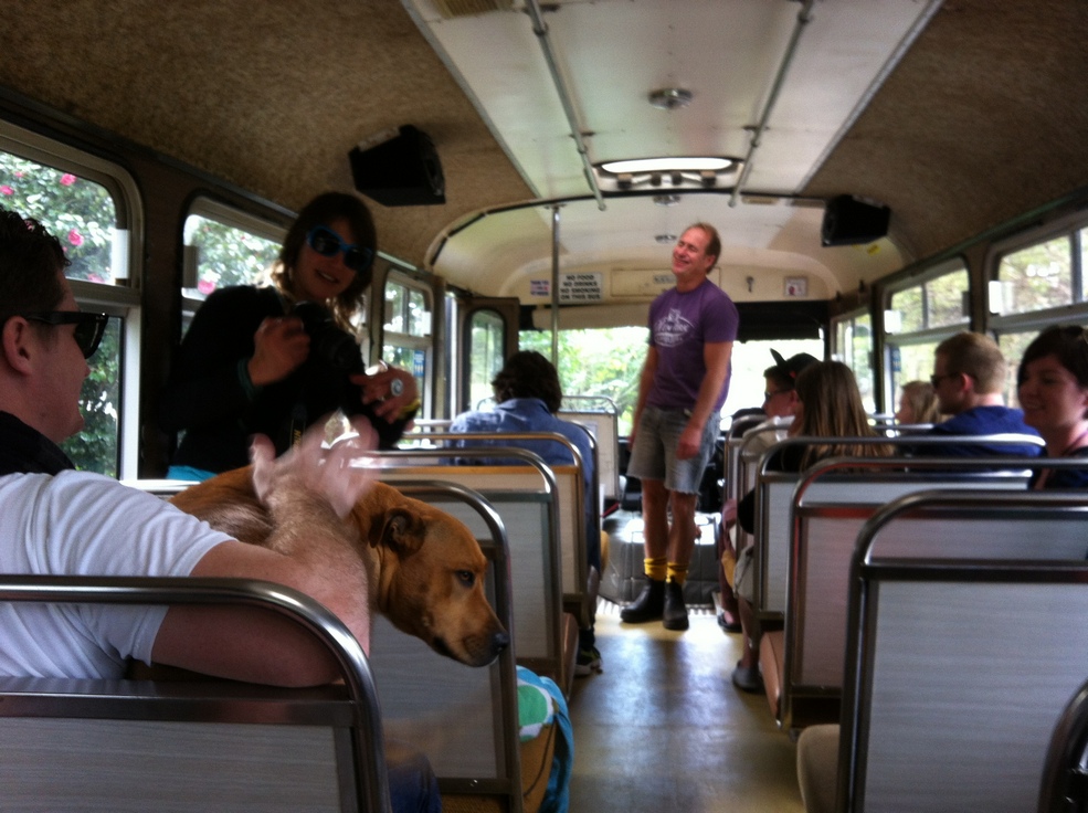 Dog and tour guide