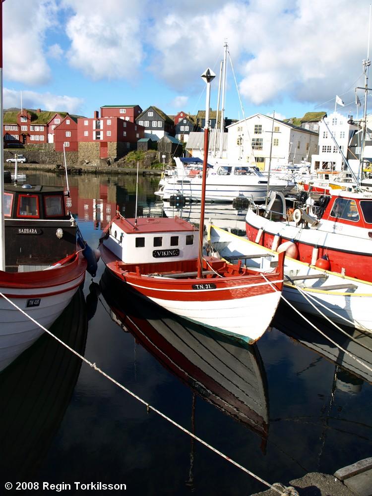 Viking TN 31