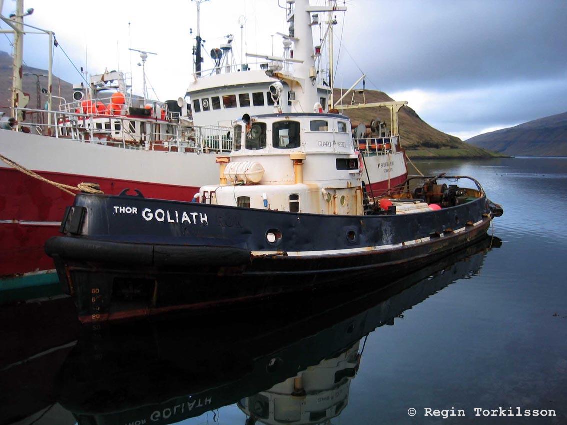 Thor Goliath
