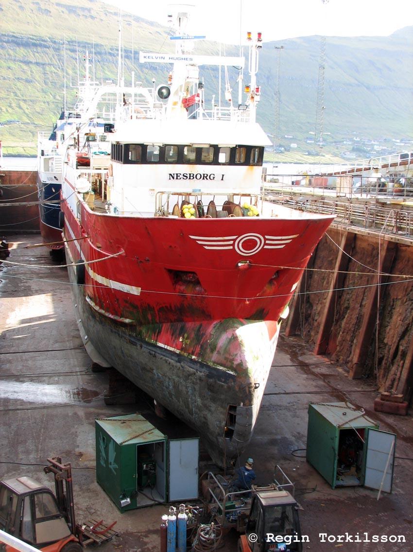 Nesborg I. TG 7