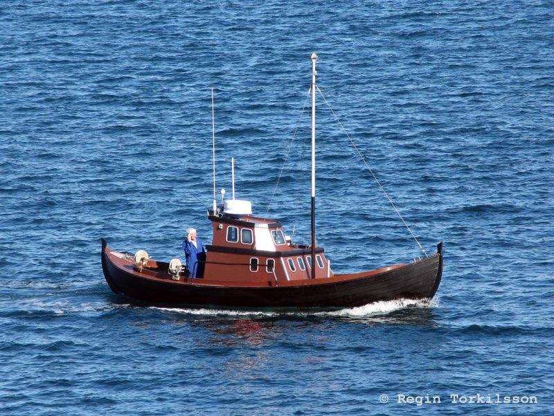 Olevina VN 617