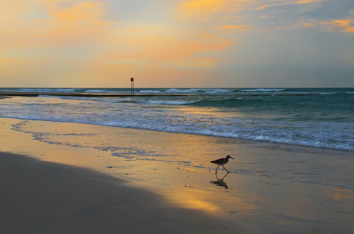 Wrightsville Beach, South End