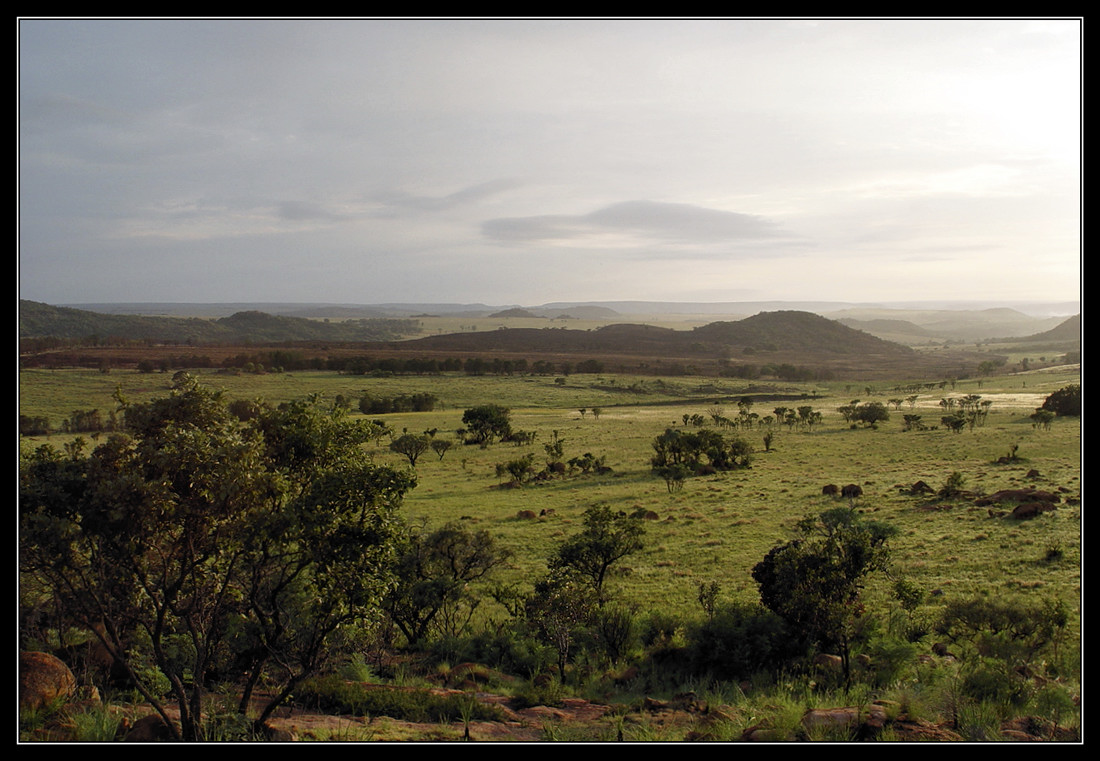 Bronkhorstspruit Gamefarm