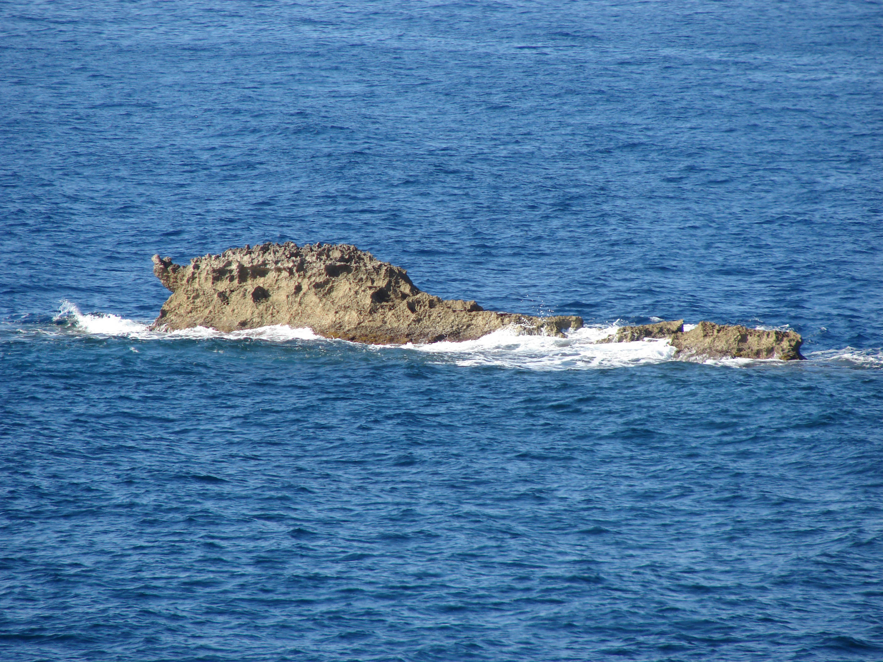 A crocodile rock.jpg