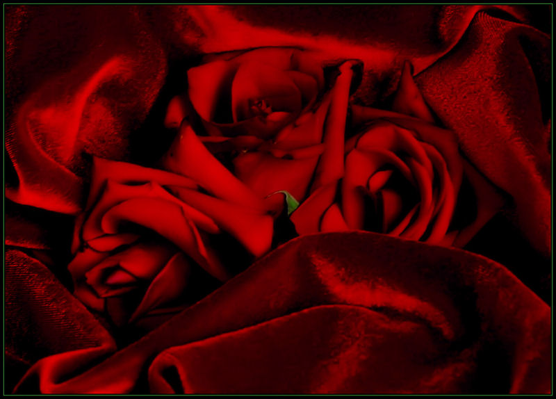 RED VELVET WAVES