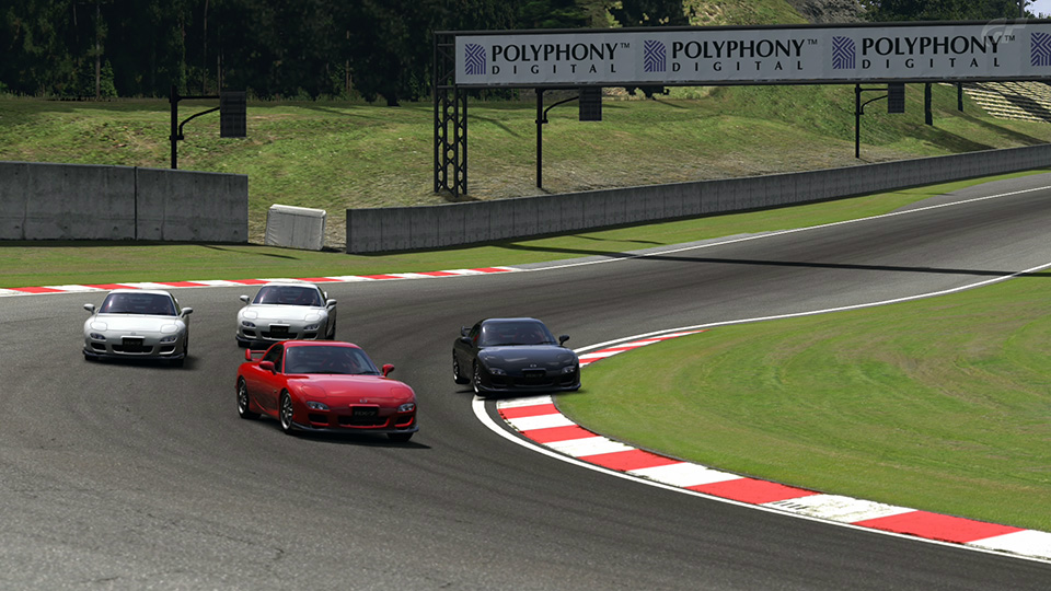 Deep Forest Raceway_16.jpg