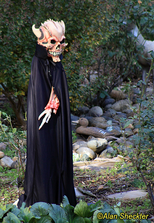 Magalia at autumn, October 27, 2012