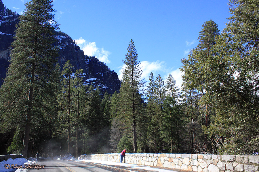 Donna gazes from a Merced River foot bridge