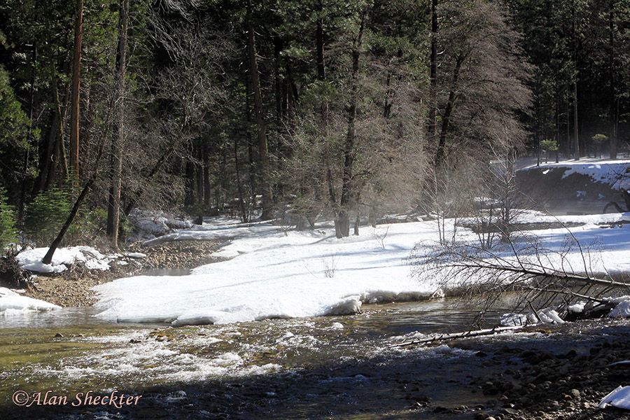 Chilly Merced River