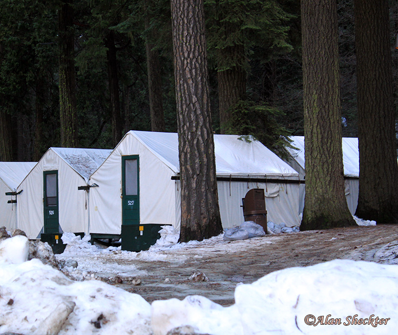 Curry Village tent cabins