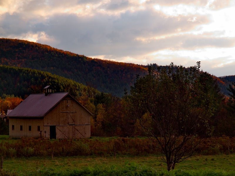 Early morning Vermont