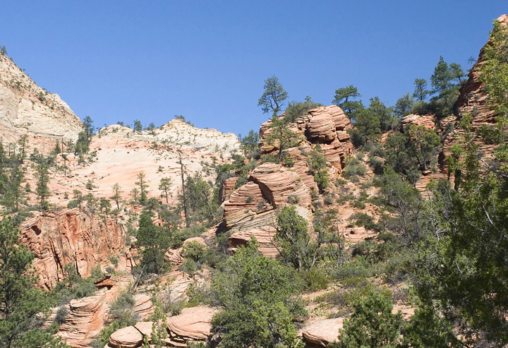 Zion National Park