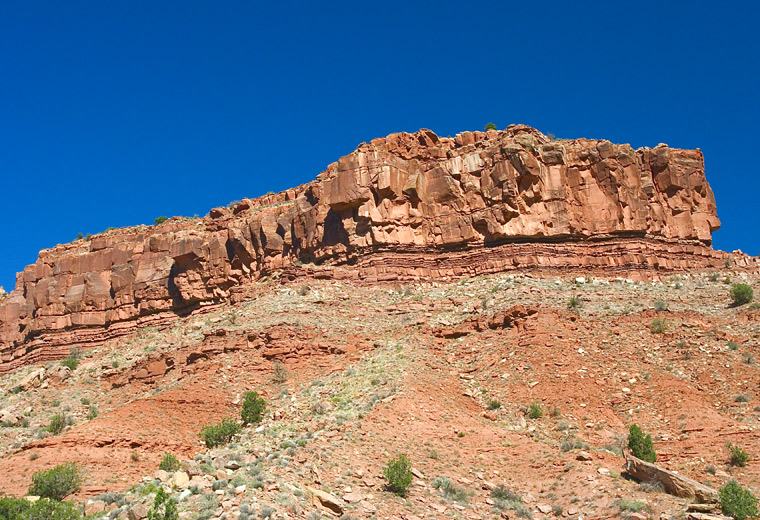 Bright Zion