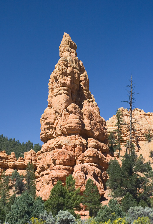 Bryce-4810