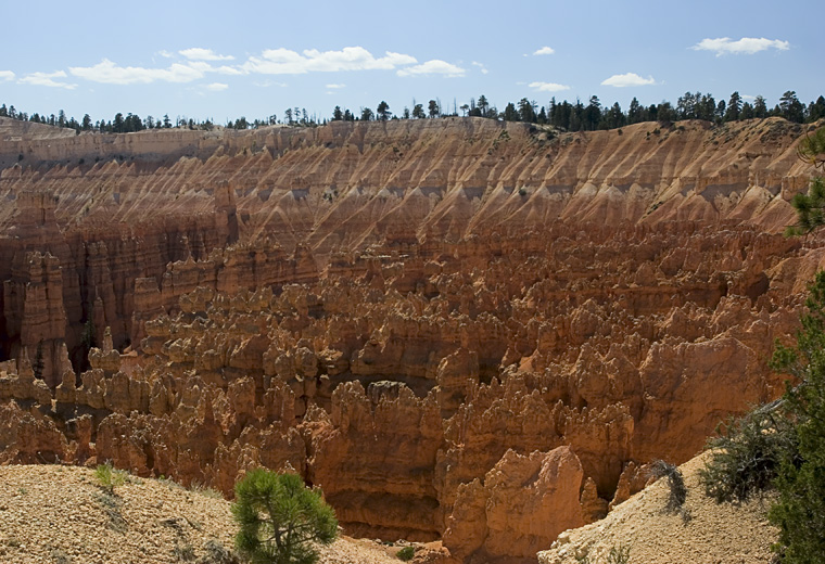 Bryce-4811