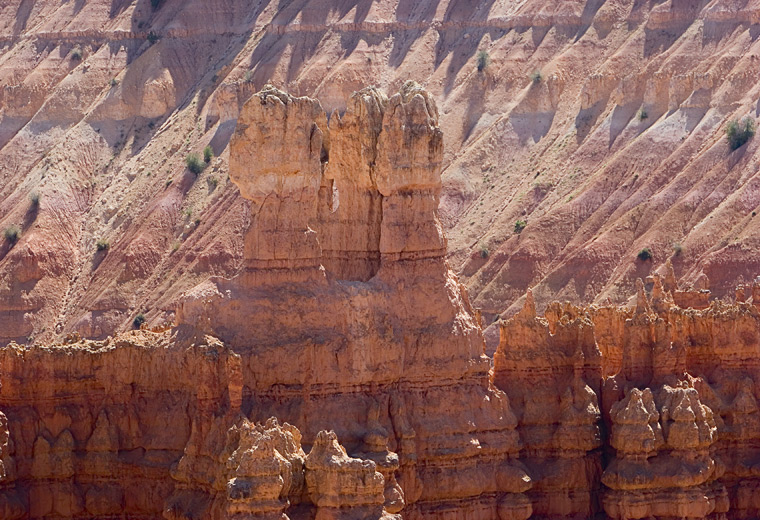 Bryce-4815