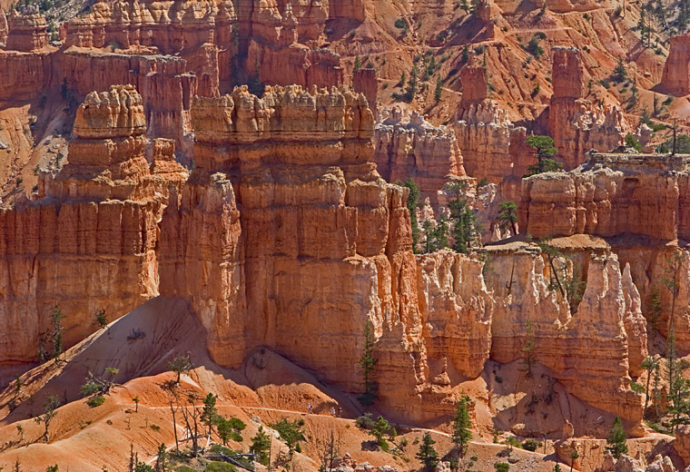 Bryce-4818
