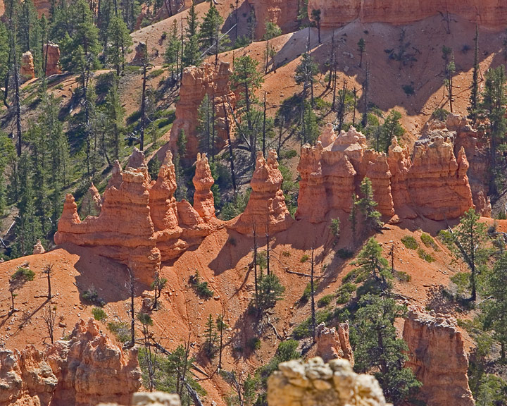 Bryce-4820