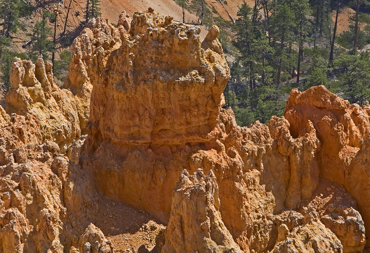 Bryce-4821