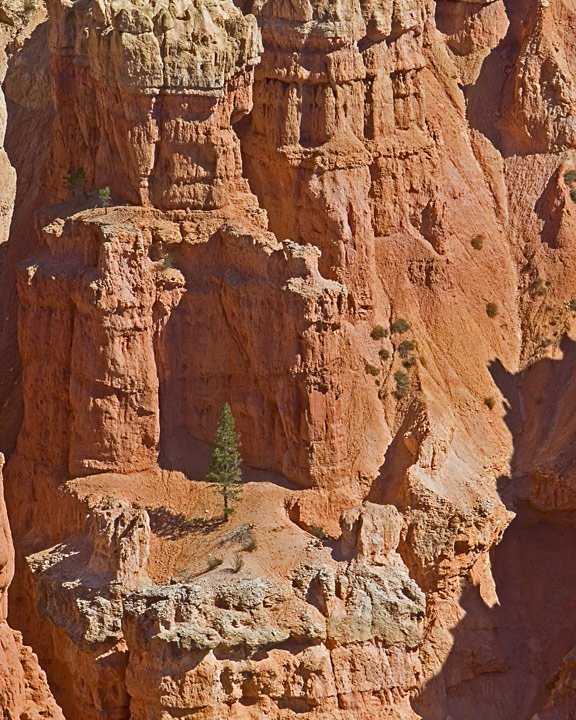 Bryce - Lone Pine.