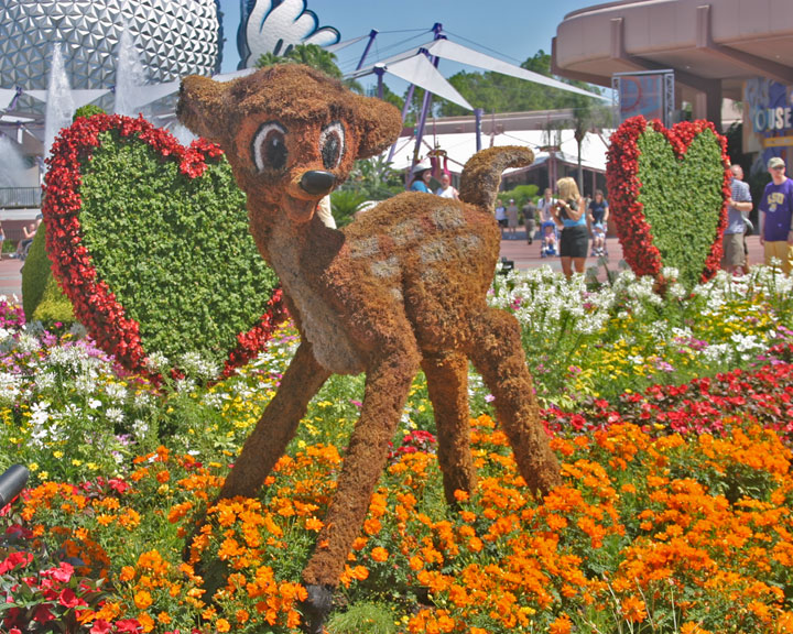 Bambi Bush