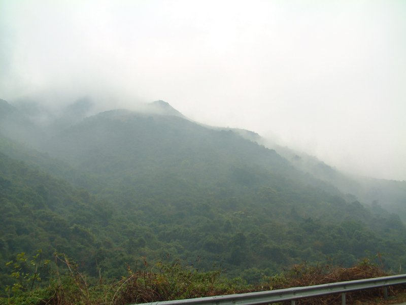 DSCF0008.jpg