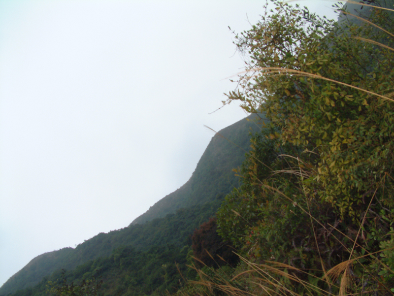 DSCF0053.jpg
