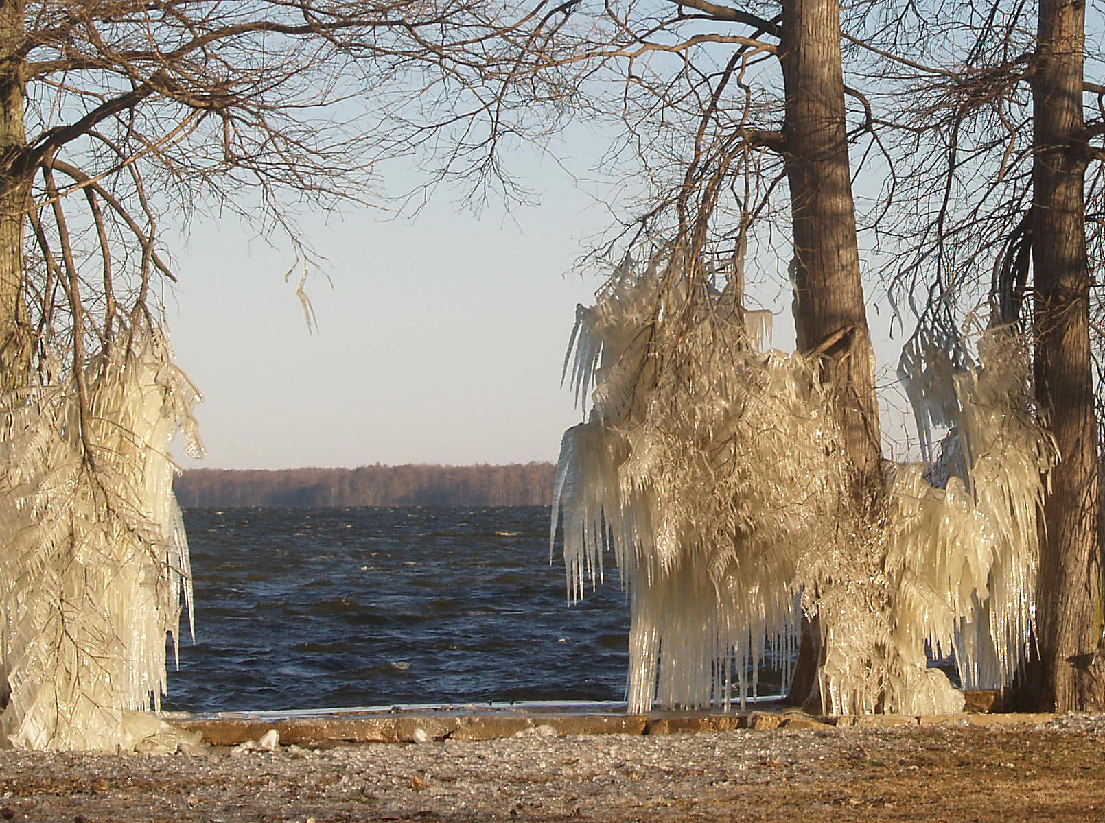 Reelfoot Ice - 2-12-2012.