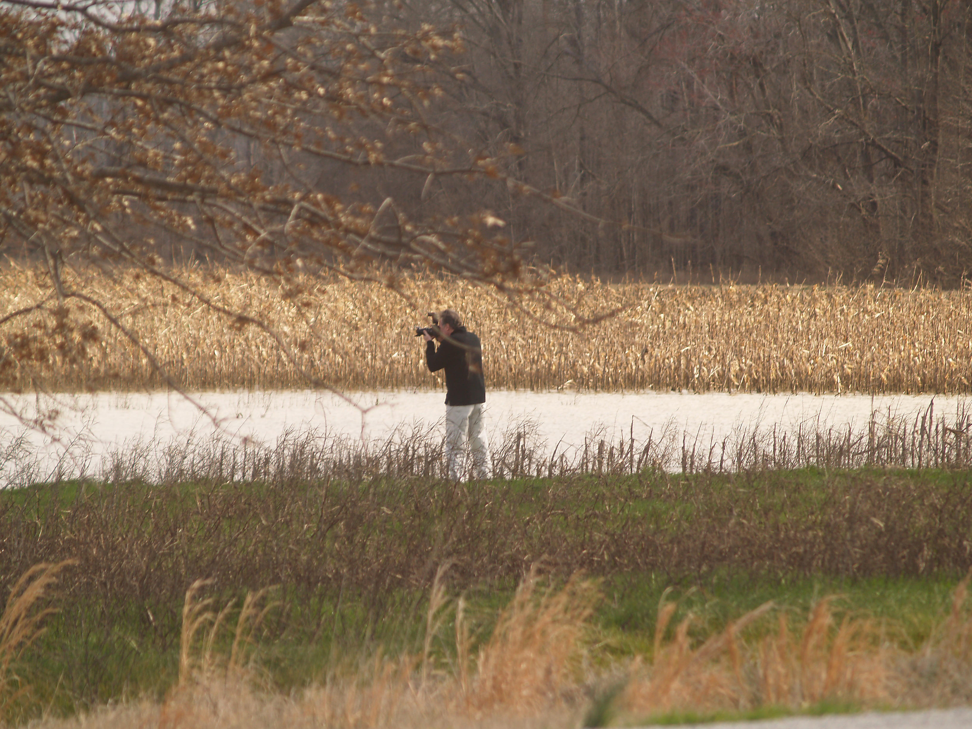 Idiot with a camera - 2.