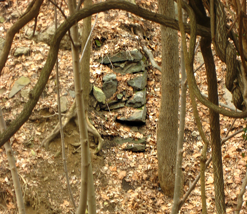The east-west wall from across Vine Creek to the east