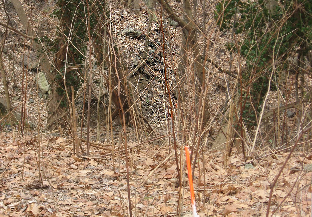 We placed and painted stakes in line with the wall on the west side