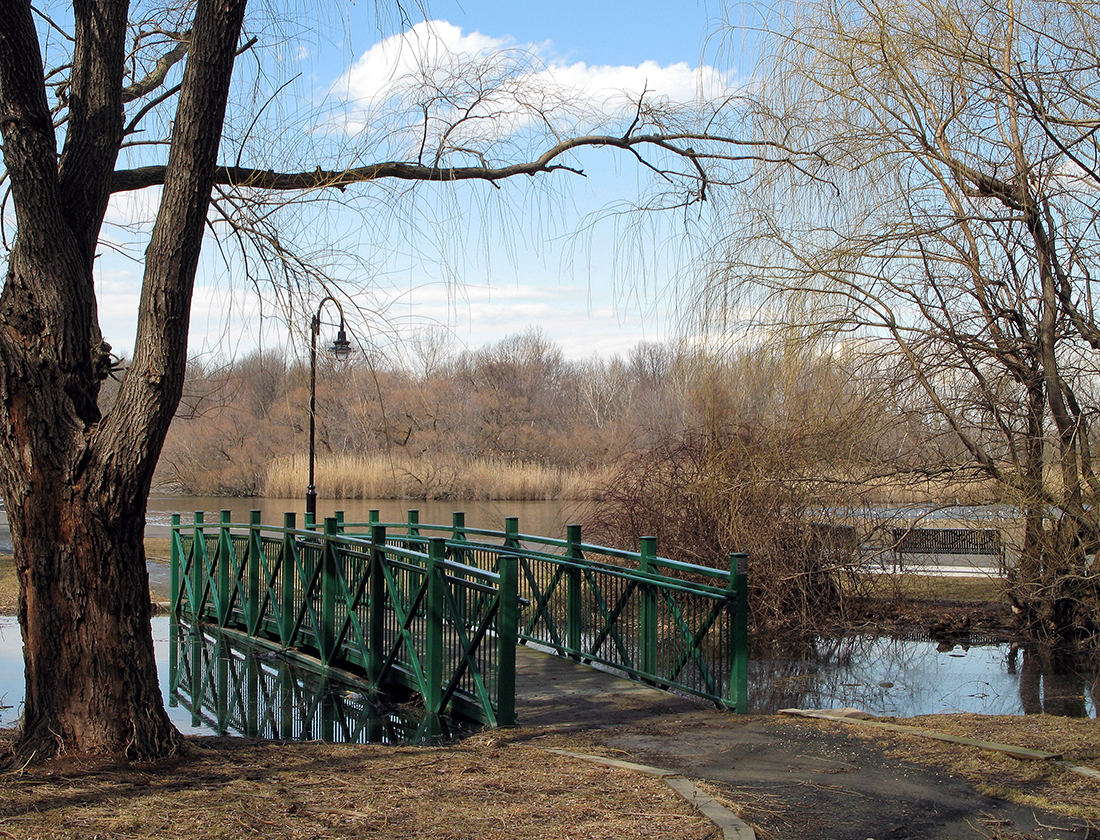 After A Rain, Hudson County Park, NJ