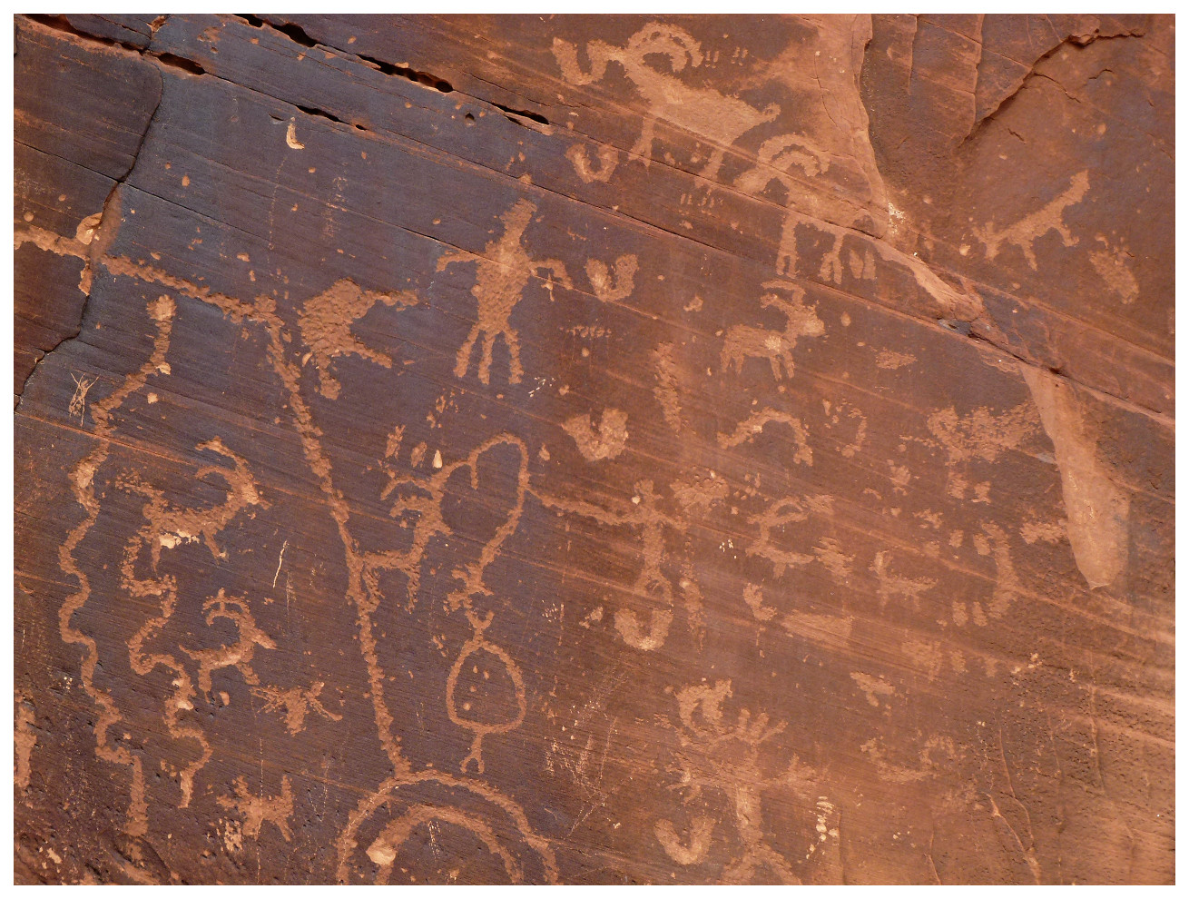 Moonflower Canyon petroglyphs