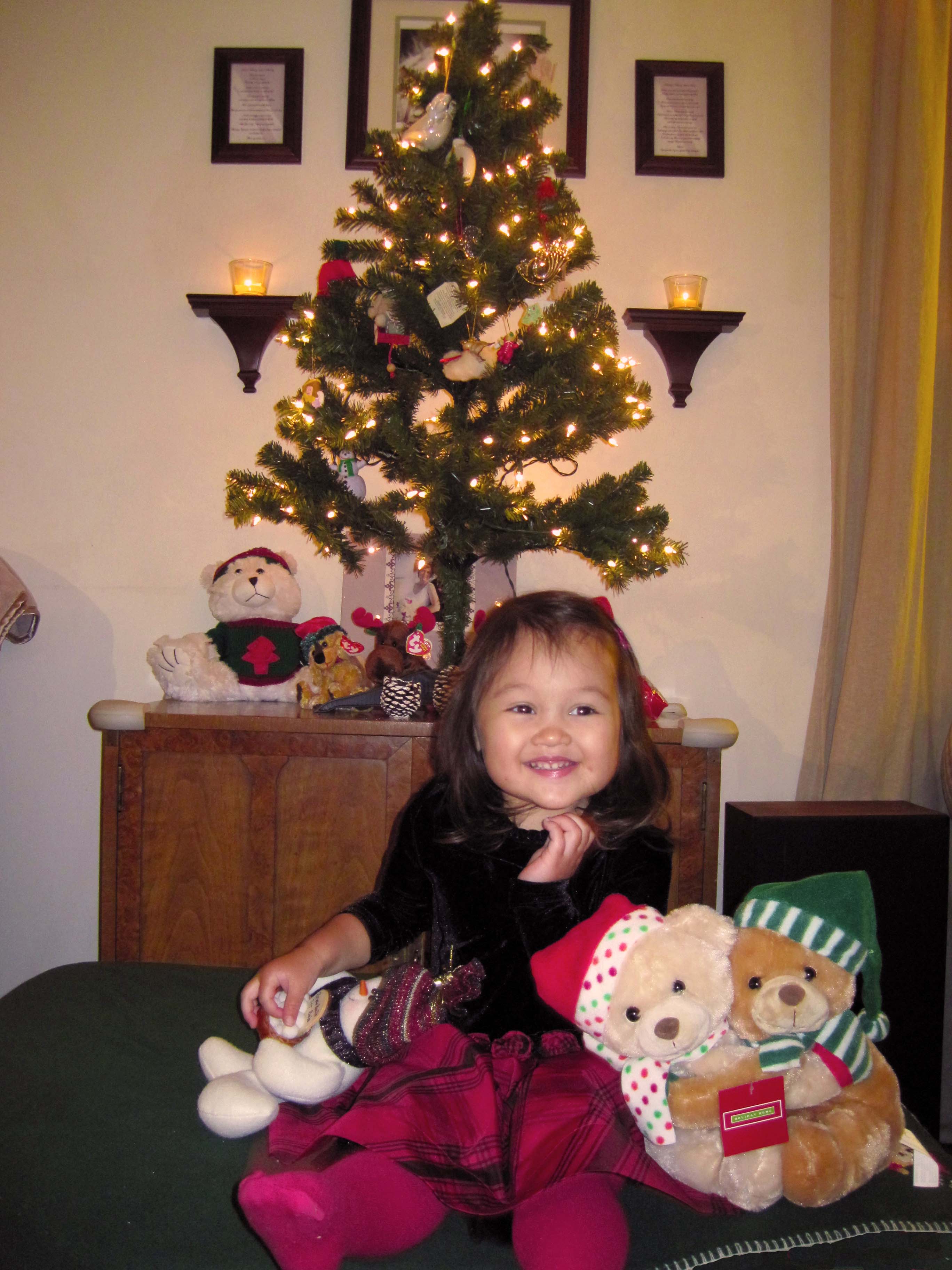 20111211_Abi_Tree.jpg