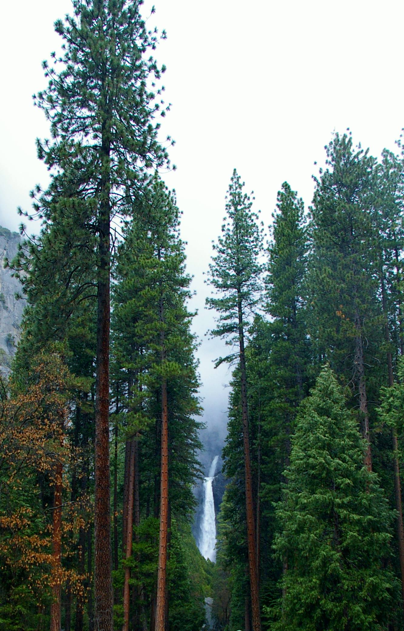 Yosemite_Lower_Falls_1.jpg