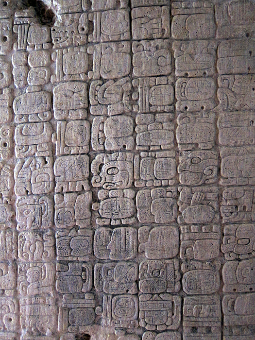 1144