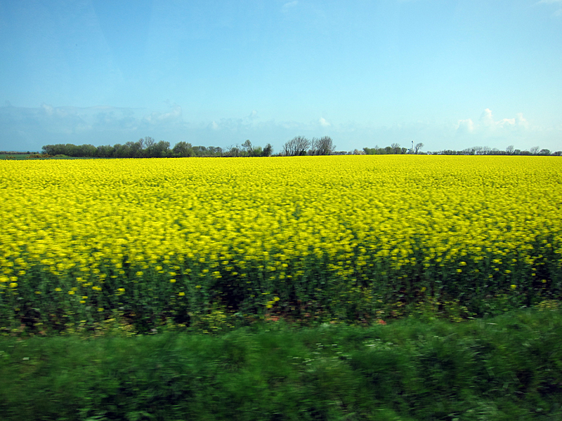 From bus to Honfleur, Normandy 1599