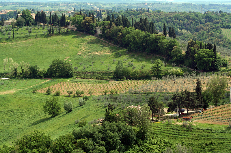 Countryside west of Florence  7289
