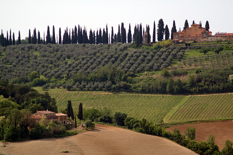 Colle di Val dElsa  7303
