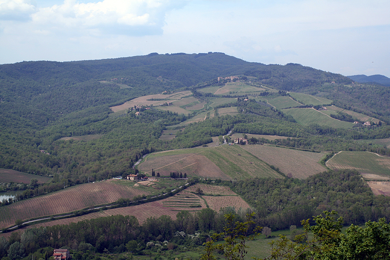Il Chianti