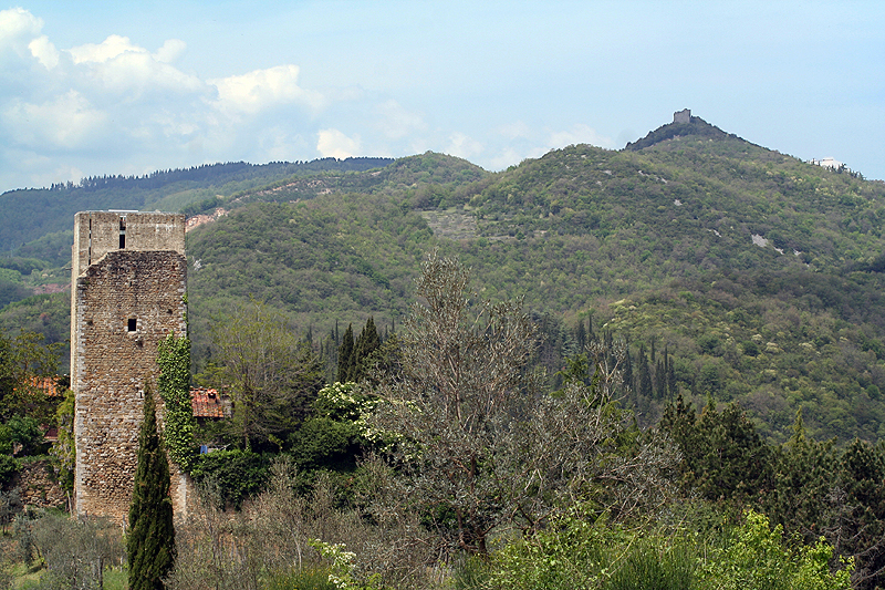 Il Chianti 7156