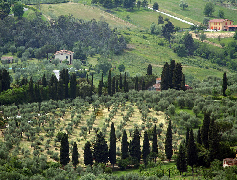 Around Uzzana 7700