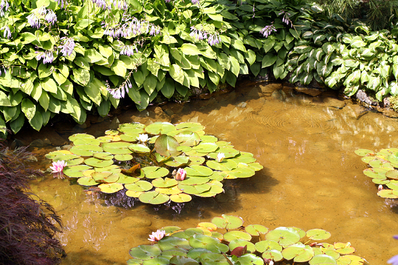 Butchart Gardens: Japanese garden