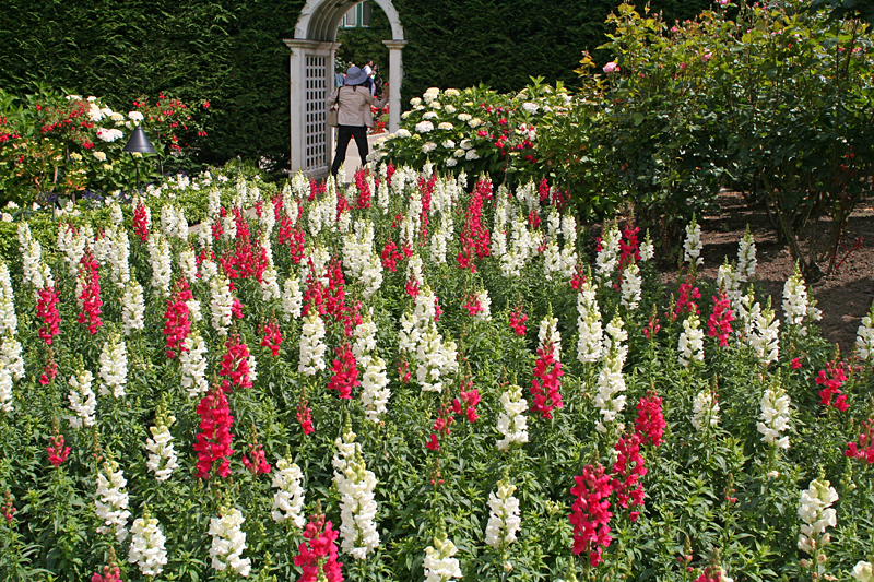 Butchart Gardens: Italian garden